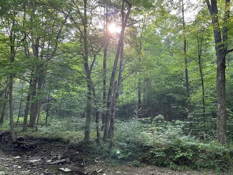 X Harrison Ridge Road, Nashville, IN 47448