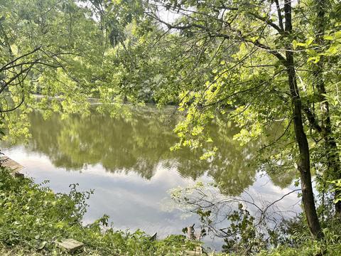 Lot 50 Dugger Lake Lake, Dugger, IN 47848