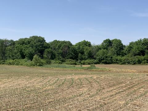 10006 W 1000 S, Losantville, IN 47354