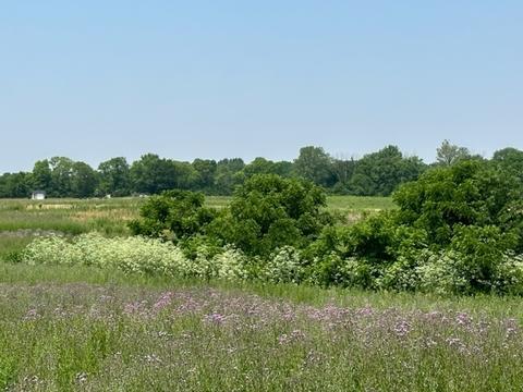 2 W State Road 44 # d, Franklin, IN 46131