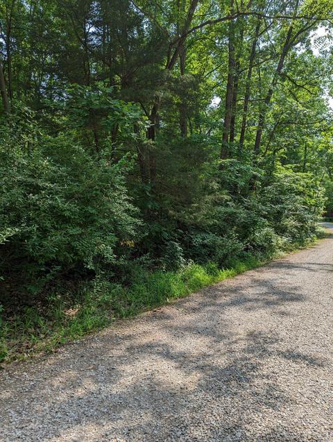 0 Catalpa Dr, Nineveh, IN 46164