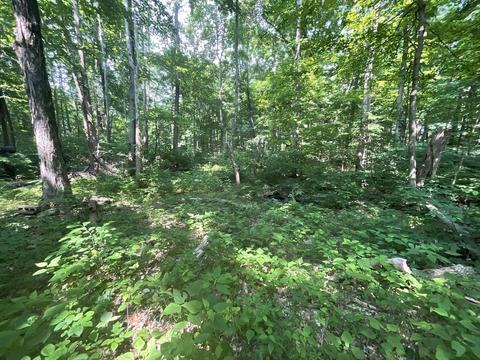 000 Garrard Chapel Rd, Poland, IN 47868