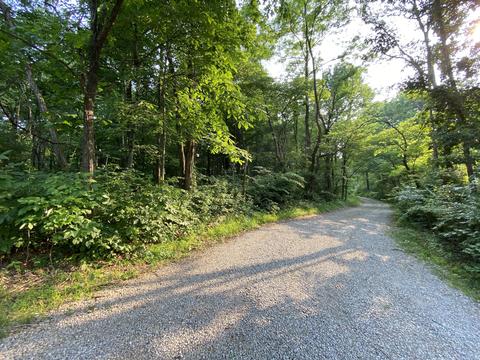3604 Albert Johnson Rd, Nineveh, IN 46164