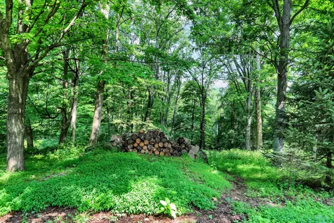 4977 E State Rd, Bloomington, IN 47401 photo 48