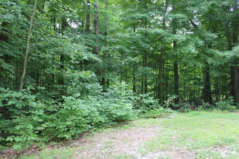12431261 E Dyer School House Ct, Martinsville, IN 46151