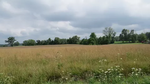10000 E Blk Co 800 N Rd, Seymour, IN 47274