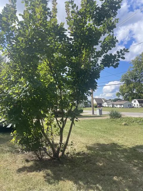151 W Epler Ave, Indianapolis, IN 46217 photo 48