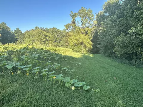 780 Meridian Rd, Mitchell, IN 47446 photo 12