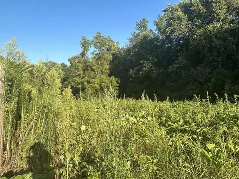 780 Meridian Rd, Mitchell, IN 47446 photo 10