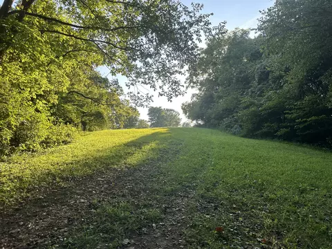 780 Meridian Rd, Mitchell, IN 47446 photo 31