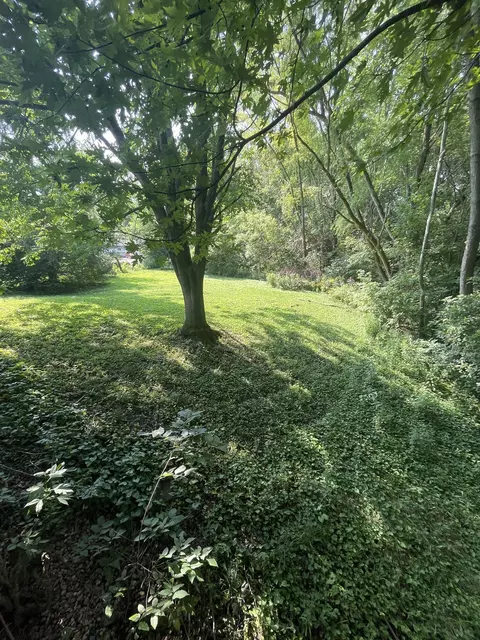 11410 River Dr E, Carmel, IN 46033 photo 4