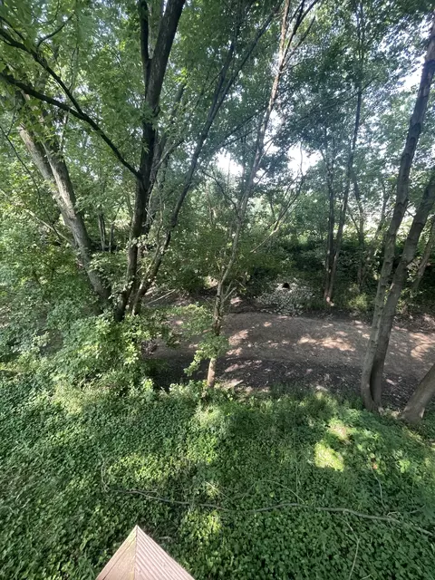 11410 River Dr E, Carmel, IN 46033 photo 5