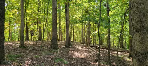 0000 Tanglewood Ln, Nashville, IN 47448