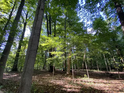 1070 N County Road 50 E, Danville, IN 46122