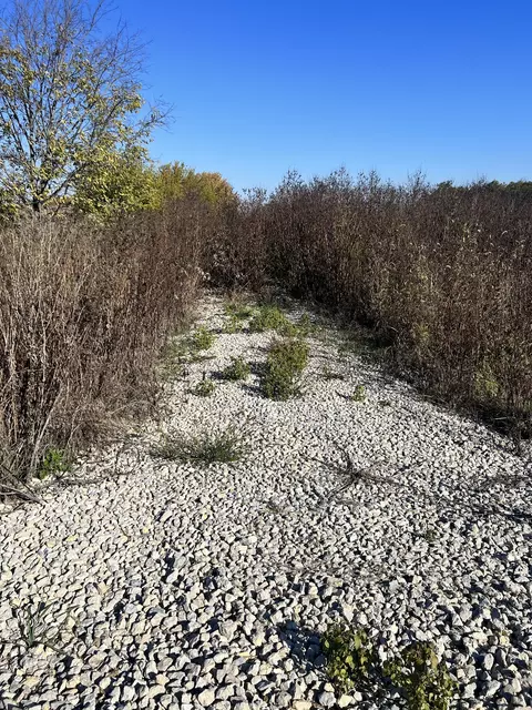 1080 E County Road 500 S, New Castle, IN 47362