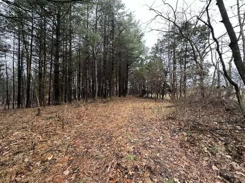 0 W Side Of Rush Creek Rd, Salem, IN 47167