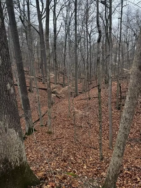 lot162 N Foxcliff Dr W, Martinsville, IN 46151