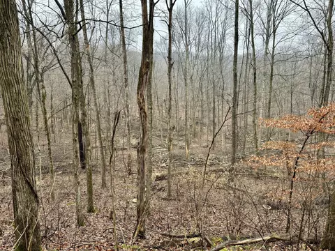 2 Kings Ridge Rd, Mitchell, IN 47446 photo 4