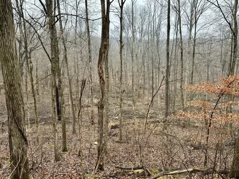 1 Kings Ridge Rd, Mitchell, IN 47446 photo 4
