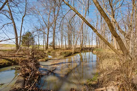 View/Area - 4231 S 600 E, Waldron, IN 46182 photo 6 of 25