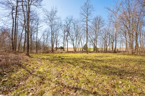 View/Area - 4231 S 600 E, Waldron, IN 46182 photo 4 of 25