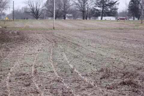 lot S 121 122 123 W Clyde St, Frankton, IN 46044