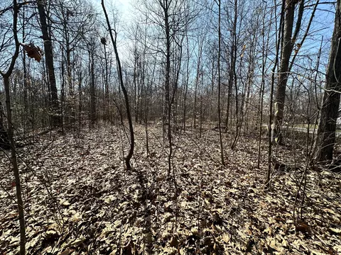 0 Middle Patton Park Rd, Martinsville, IN 46151