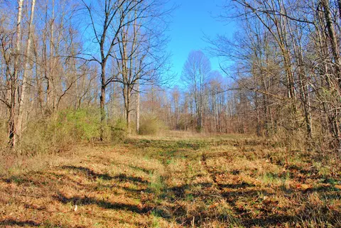9382 W 500 Rd N, Holton, IN 47023