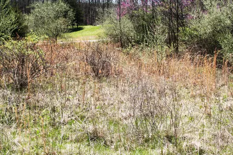 3345 Rasberry Ln, Spencer, IN 47460 photo 7