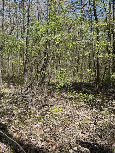 0 Clay Lick Rd, Nashville, IN 47448