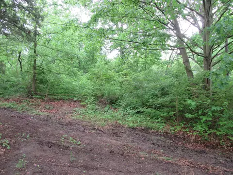 2925 E Flint Rd, Attica, IN 47918