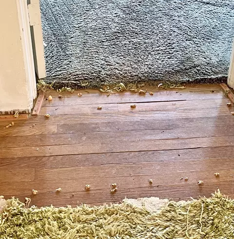Other - 202 Washington St, Hope, IN 47246 photo 5 of 11