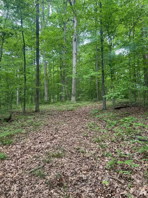 000 Woodland Lake Rd, Morgantown, IN 46160
