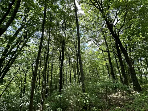 0 Dynasty Ridge Rd, Martinsville, IN 46151