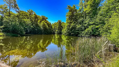 0 W Wolf Mountain Rd, Gosport, IN 47433