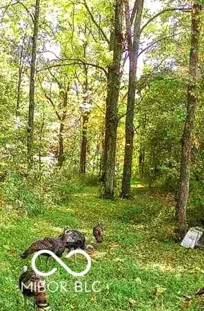 N/a Fiscus Cemetery Road, Coal City, IN 47427
