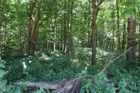 000 Jones Rd, Gosport, IN 47460