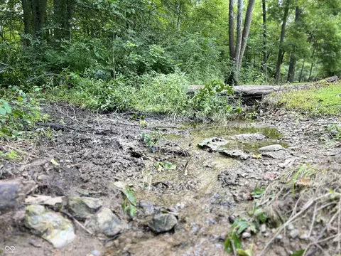 5151 Lead Line Rd, Centerville, IN 47330 photo 31