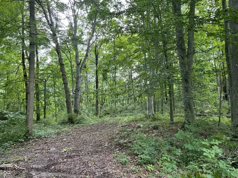 5151 Lead Line Rd, Centerville, IN 47330 photo 35