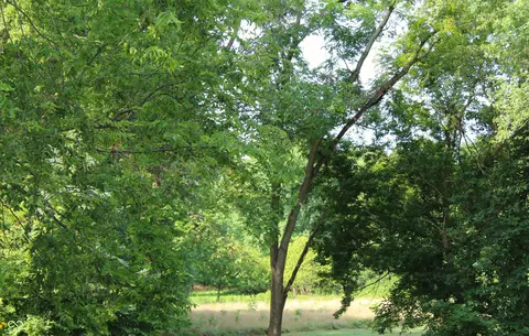 784 Broadway St, Bloomingdale, IN 47832