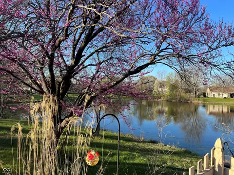 8316 Pointers Ct, Indianapolis, IN 46256 photo 33