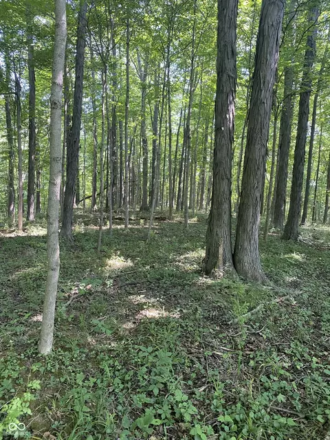 0 W 236, North Salem, IN 46165