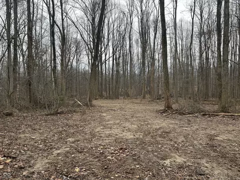 0 Beech Grove Rd, Martinsville, IN 46151