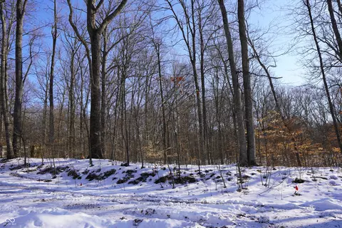 Long Lake Road, Nashville, IN 47448