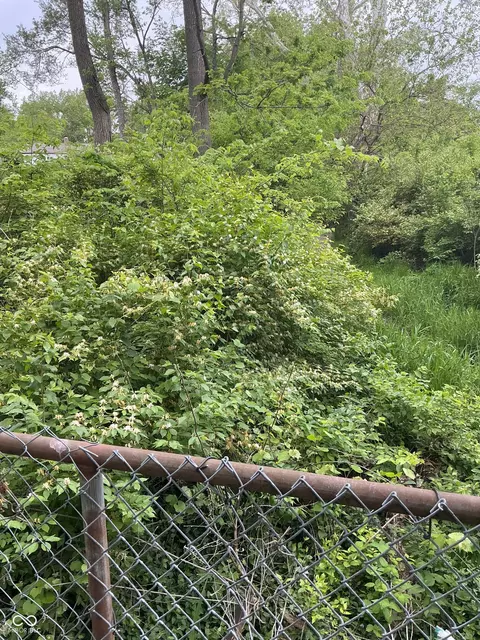 1943 Dequincy St, Indianapolis, IN 46218