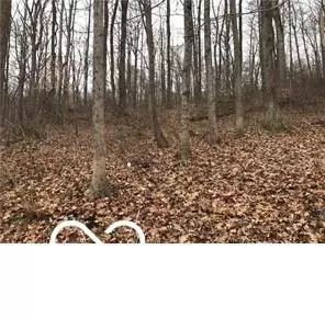 5216 Orange Grove Rd, Gosport, IN 47433