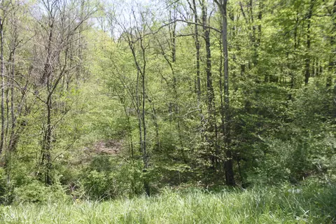 Other - 4363 E State Road 252, Franklin, IN 46131 photo 20 of 24