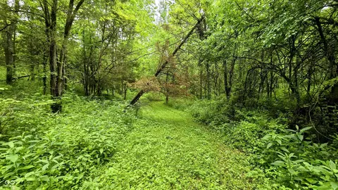 11200 L4 Mccrearys Ridge Rd, Florence, IN 47020