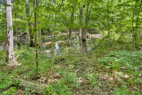 5222 E State Road 46, Bloomington, IN 47401 photo 29