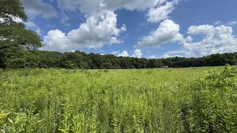 1089 S River Rd, Covington, IN 47932 photo 5
